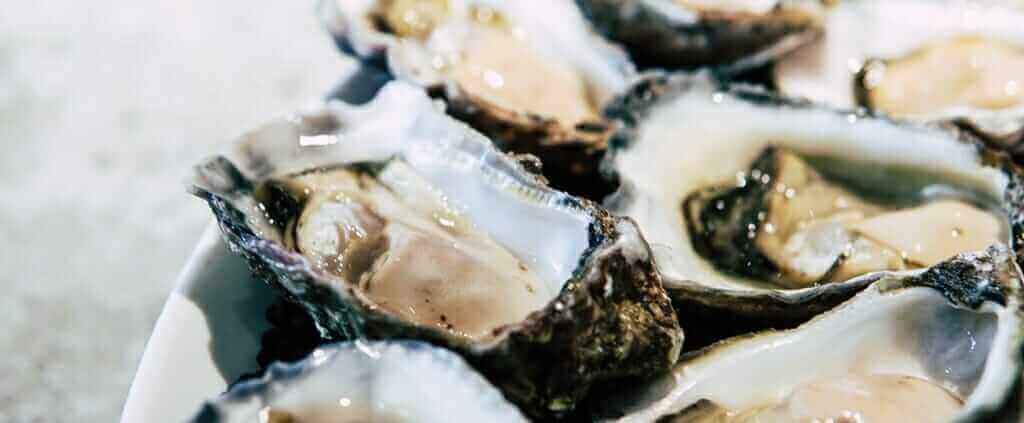 Oysters at Sunnyside Farms Market Deli, Bistro and Grocery in Durango Colorado