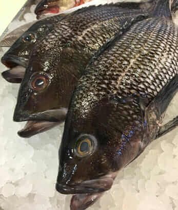 Sustainability at Sunnyside Farms Market Deli, Bistro and Grocery in Durango Colorado